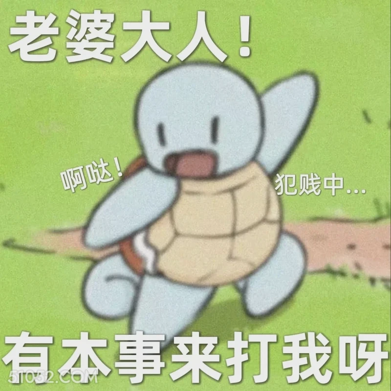 藏在日常里的温柔:给老婆的情话 藏在日常里的温柔:给老婆的情话