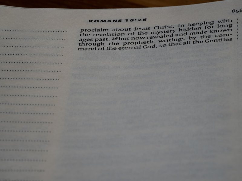 今天，我终于学会了跳绳