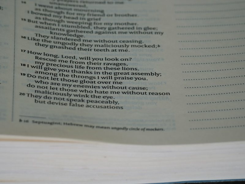 又是一个平凡的学习日