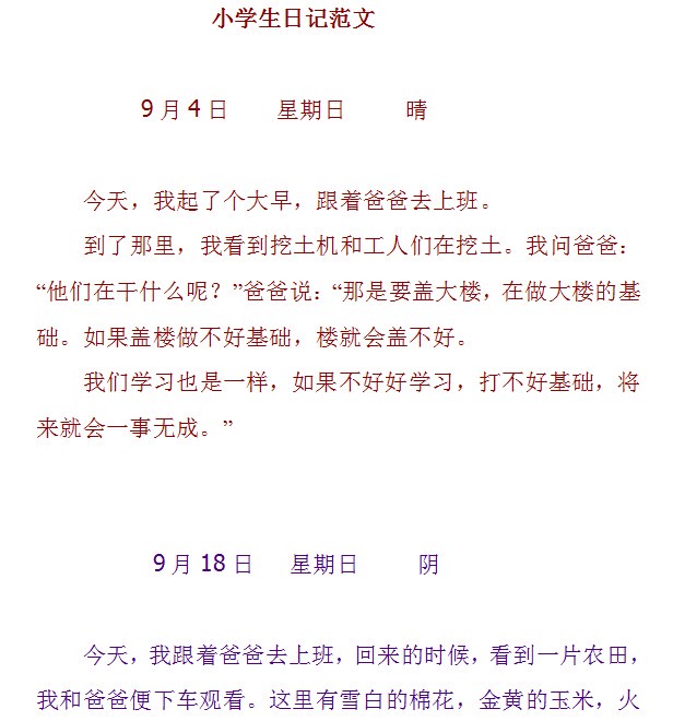 今天我学会了做蛋炒饭