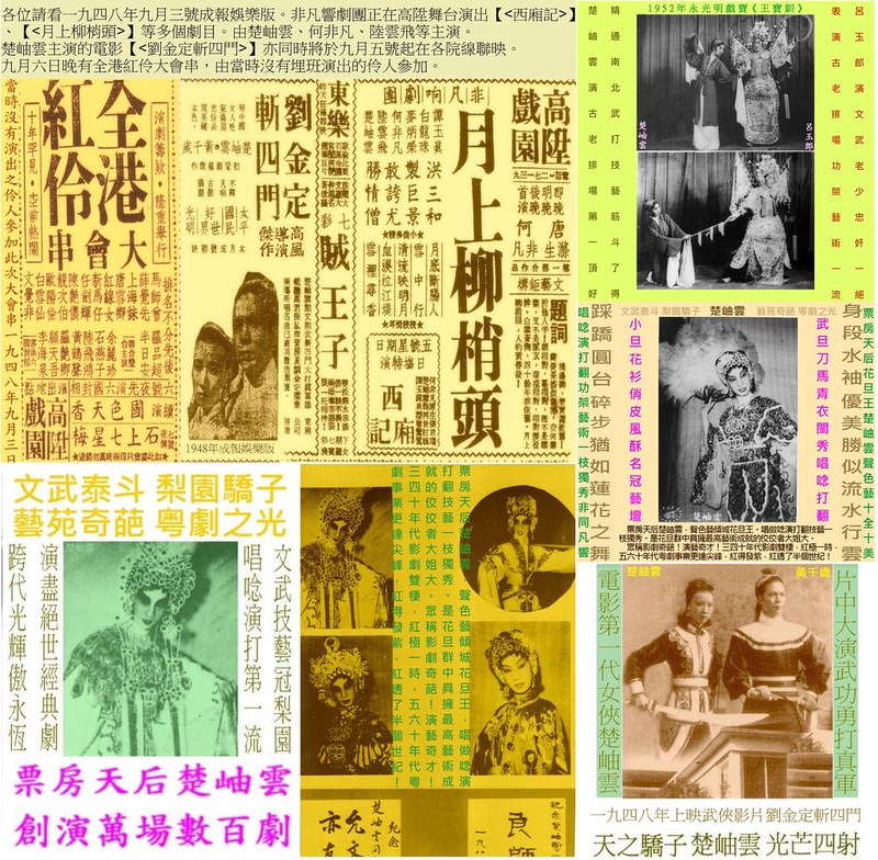 玫瑰的秘密花园 玫瑰的秘密花园