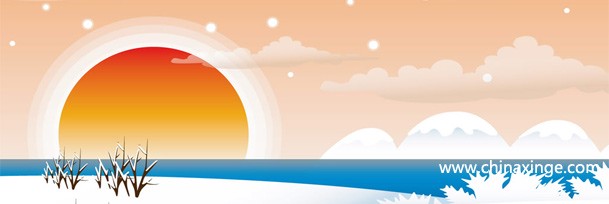 今天，我在网络日记里遇见了另一个我