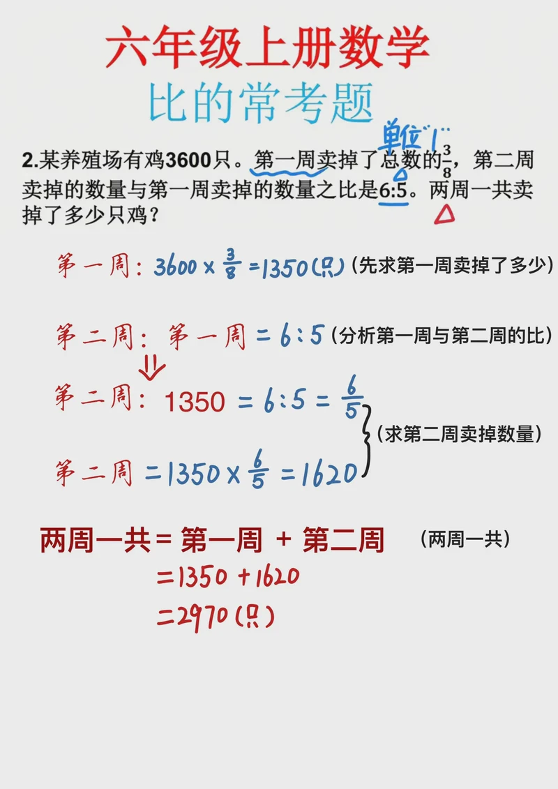 解方程的奇妙旅程——六年级上册数学日记