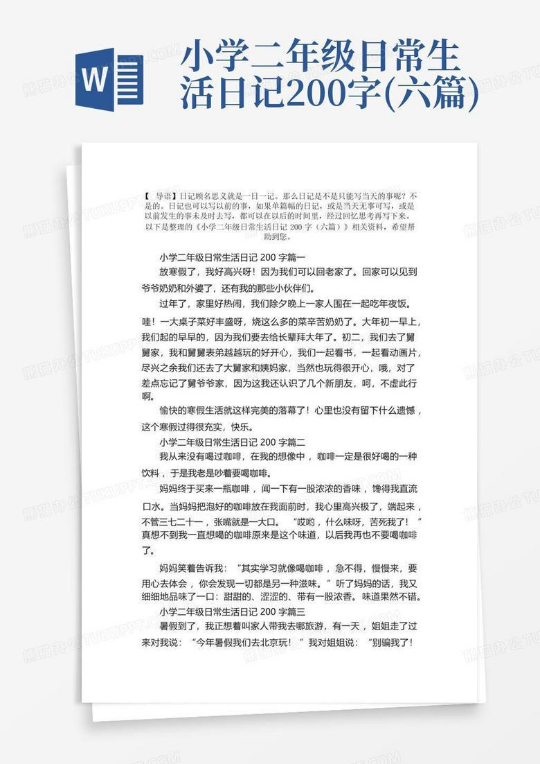 午后的宁静与思考