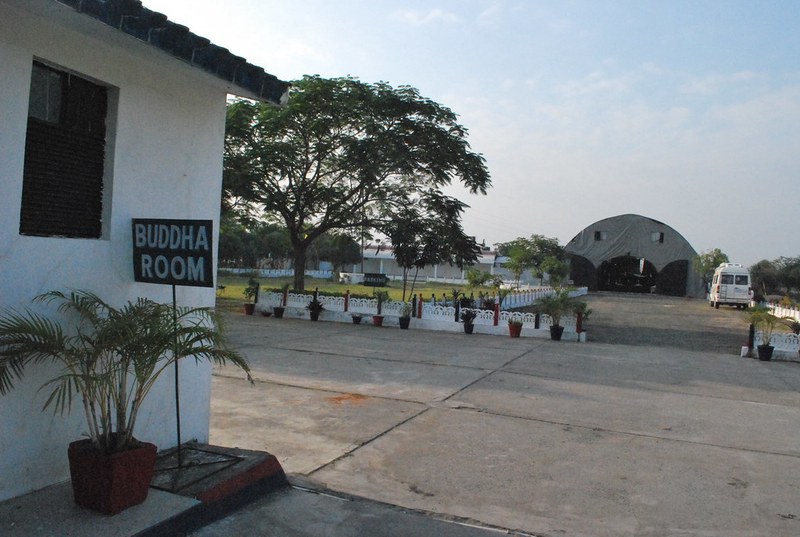 今天看到了一只流浪猫,触发了想写日记的冲动 今天看到了一只流浪猫,触发了想写日记的冲动