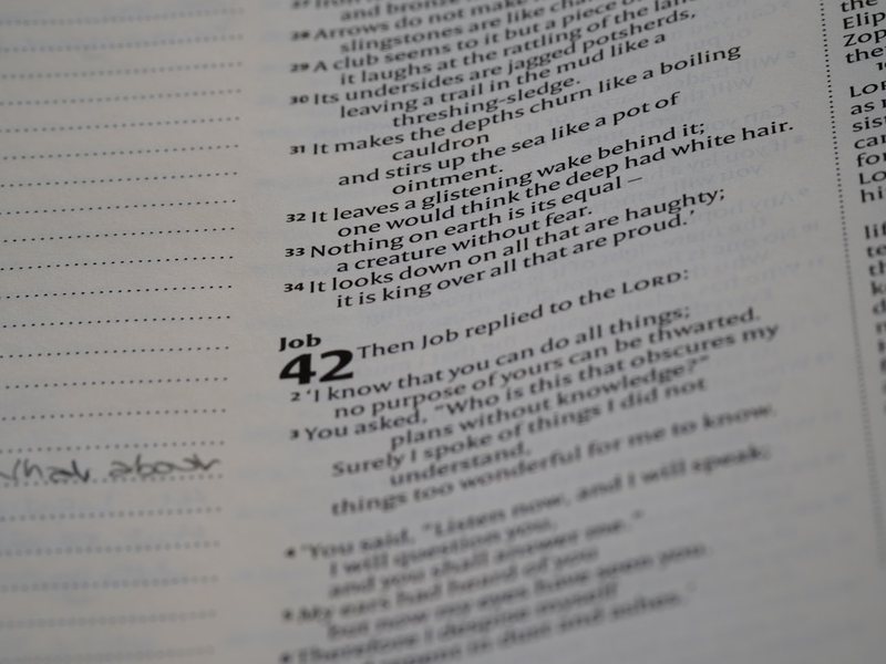 今天我在操场跑步