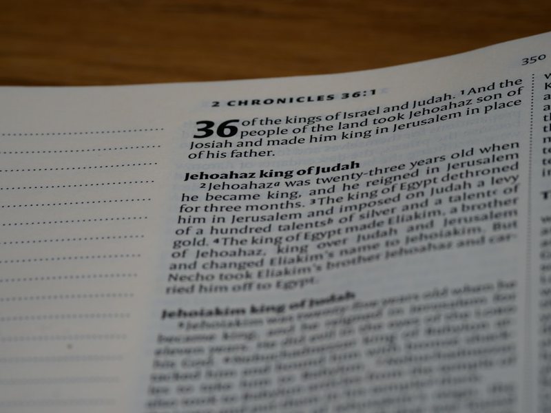 新学期的第一篇日记