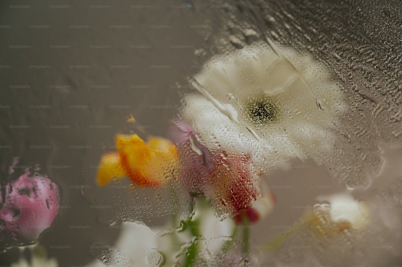 春雨淅沥，心事点点