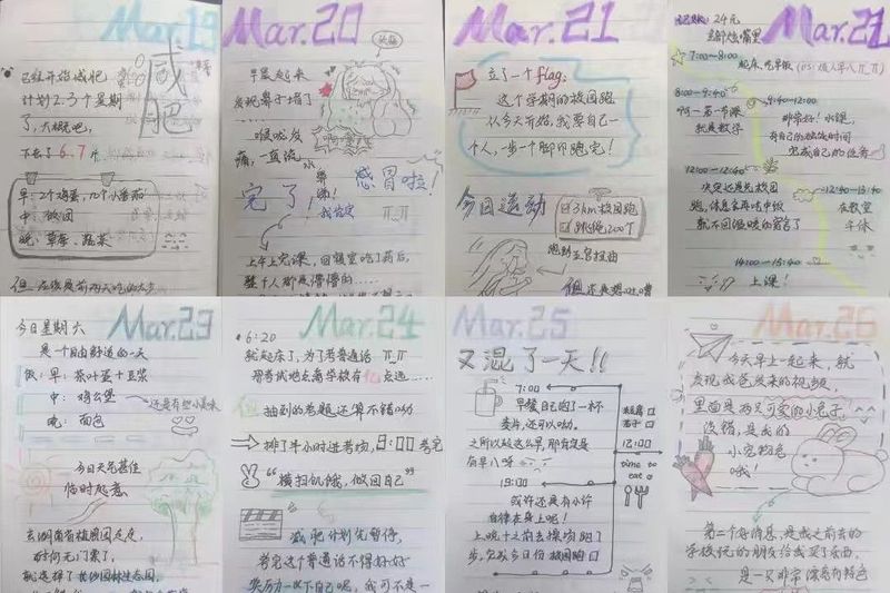 阳光正好，微风不燥