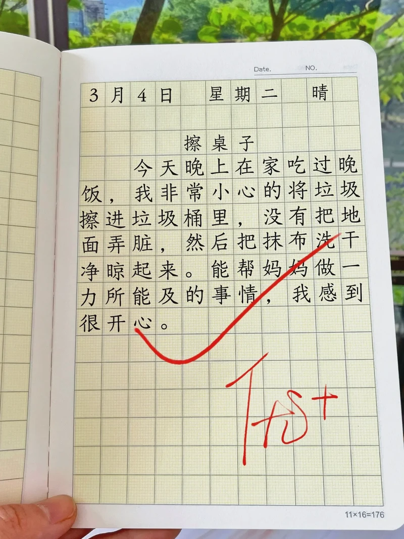 我的四年级日记之旅！