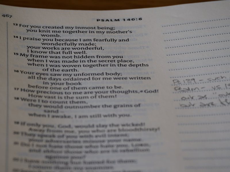 今天，我观察到了一只可爱的小鸟…