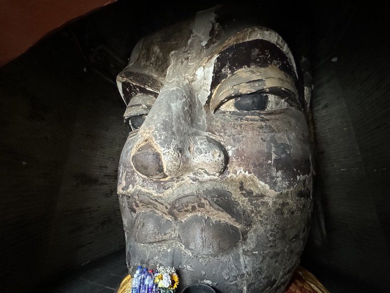 今天，我遇到了真正的朋友