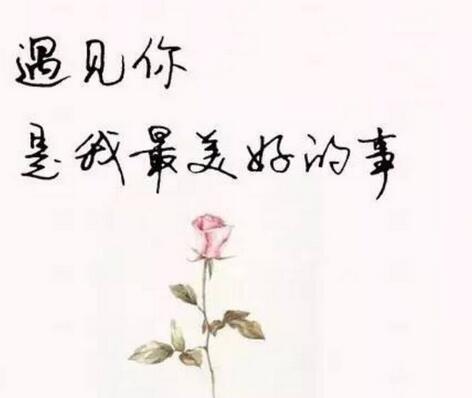 文艺情话短句：那些温柔又深情的句子