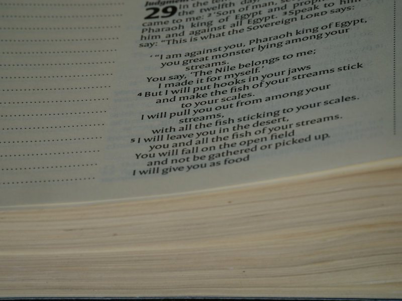 今天我吃了什么？