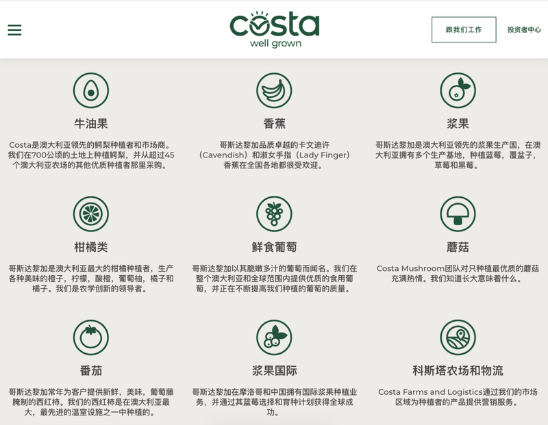 第一次尝试插花—花艺的美好与挑战 第一次尝试插花—花艺的美好与挑战