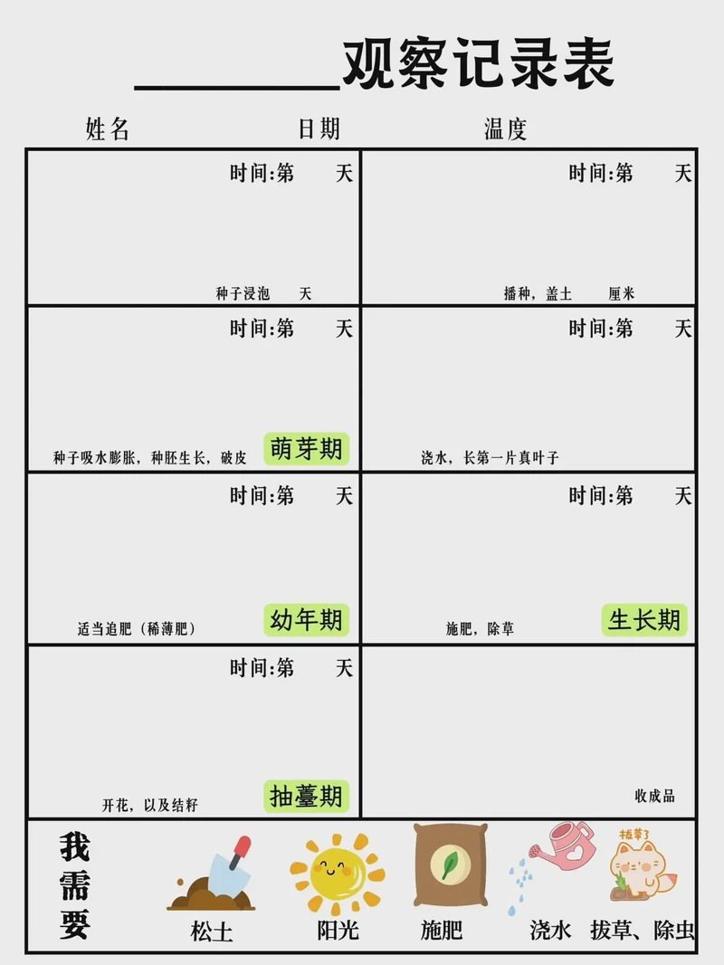 窗台上的小绿意—植物观察日记 窗台上的小绿意—植物观察日记