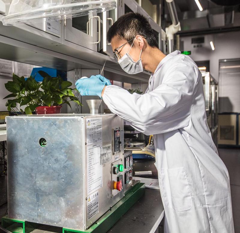 实验日记｜试管里的春天