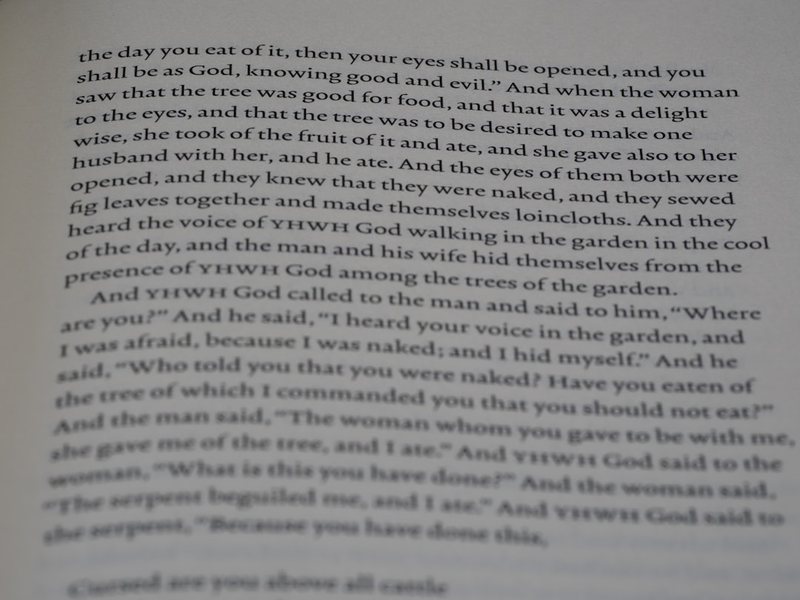 爱的悲歌：罗密欧与朱丽叶的绝唱