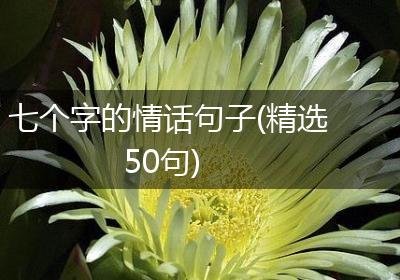 五个字的温柔情话,藏在日常的细微之处 五个字的温柔情话,藏在日常的细微之处