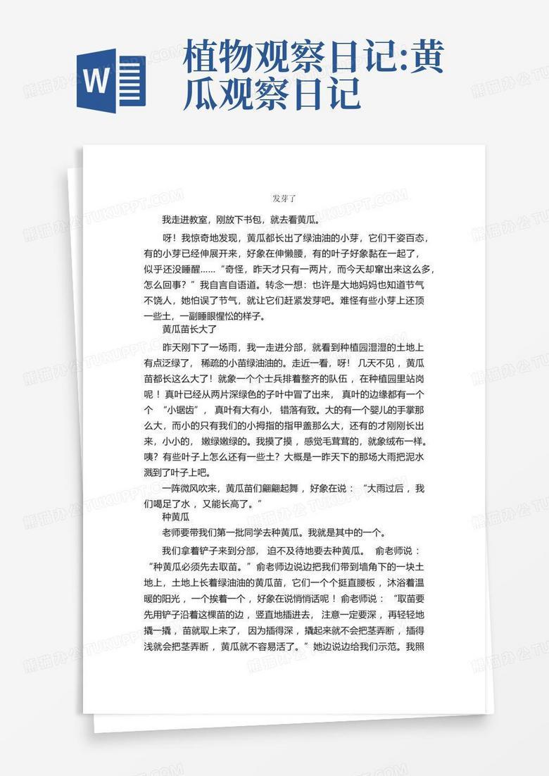 观察日记图片:阳台上的小世界 观察日记图片:阳台上的小世界