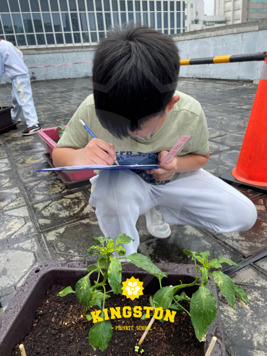 泥土里的梦想与现实 泥土里的梦想与现实