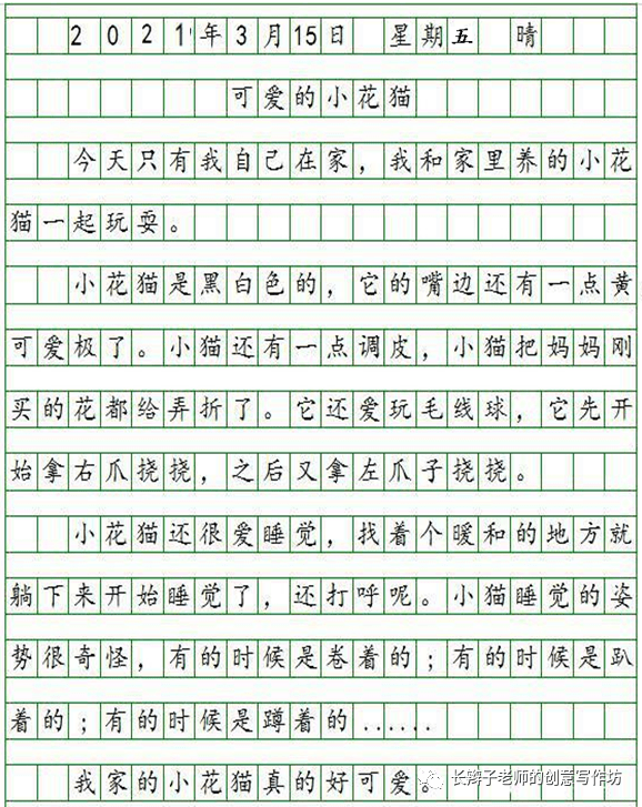 今天又是个阴天