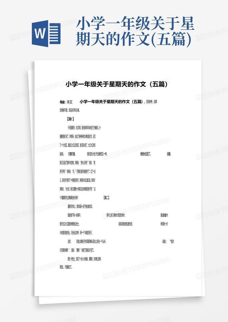 星期五的一天｜忙碌与宁静的交织