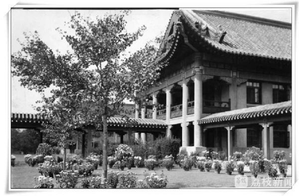 秋日私语：窗台上的菊花