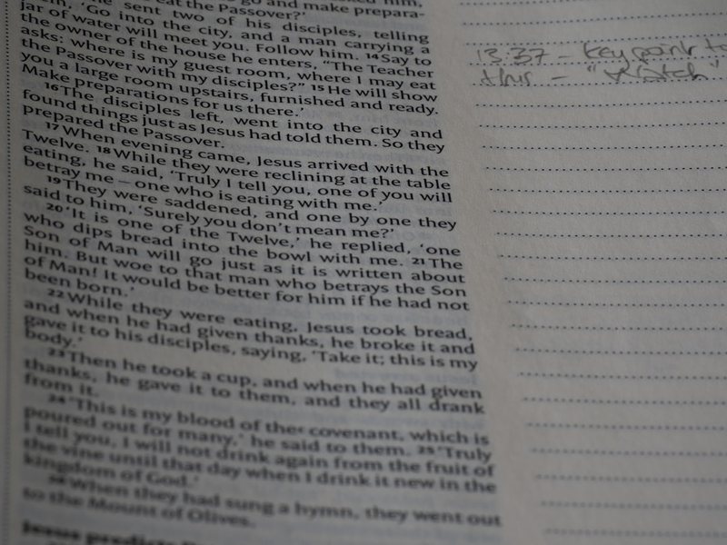 数学日记，开启新篇章