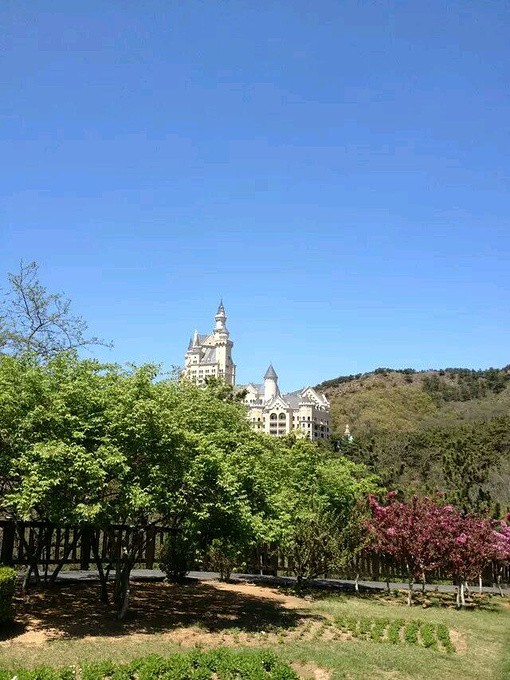 暴雨中的意外惊喜 暴雨中的意外惊喜