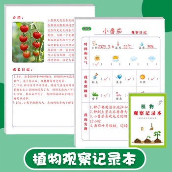 窗台上的小生命？