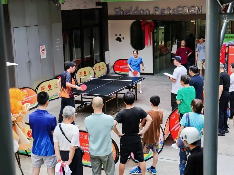 被球拍砸到头的下午 被球拍砸到头的下午