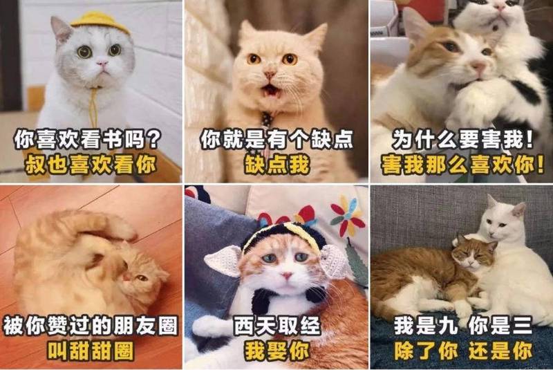 土味情话:跨越时空的温柔密码 土味情话:跨越时空的温柔密码