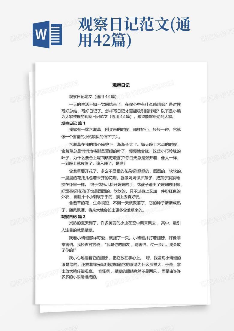 雨后蜗牛的奇迹！