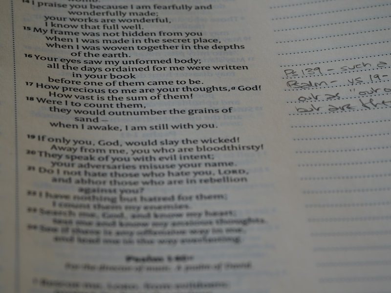 今天,我上了一堂特别的体育课 今天,我上了一堂特别的体育课