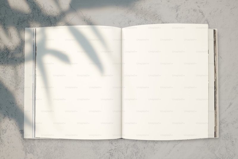 窗台上的小生命：我的薄荷成长记