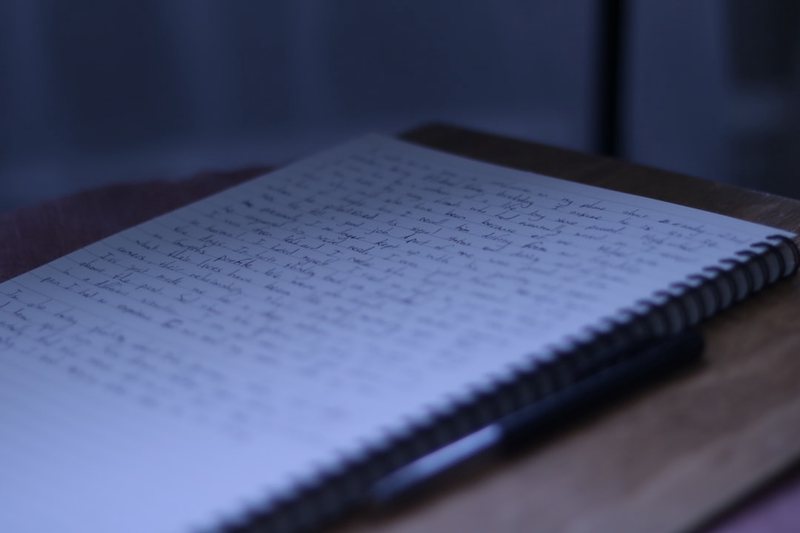 雨后的清晨 雨后的清晨