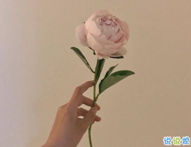 那些只属于我们的情话 那些只属于我们的情话