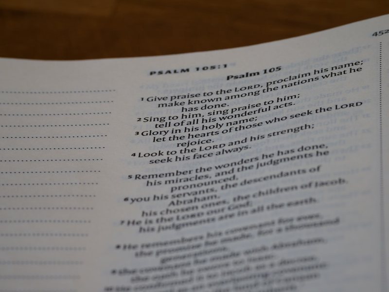 今天我终于学会了写“谢谢”！