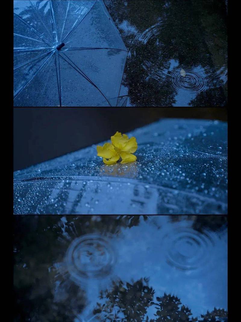 雨滴轻敲，情话轻扬