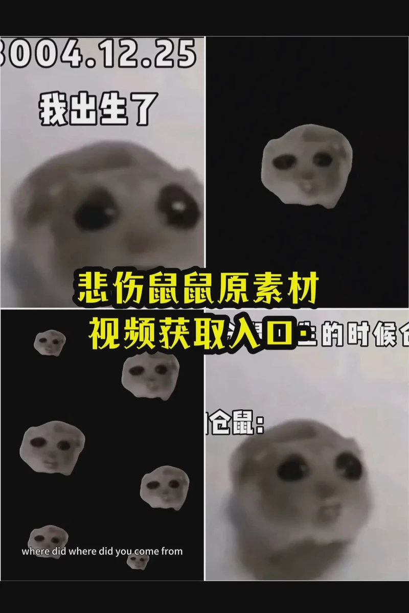 鼠情话:在细碎时光里,藏着我最温柔的告白 鼠情话:在细碎时光里,藏着我最温柔的告白