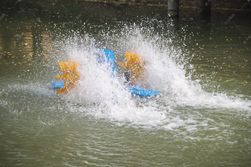 今天我终于把那本老书里的故事听完了? 今天我终于把那本老书里的故事听完了?