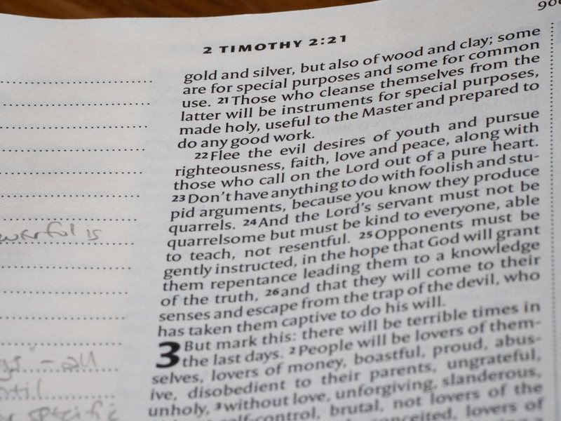 四年级的日记：我的小秘密与大发现