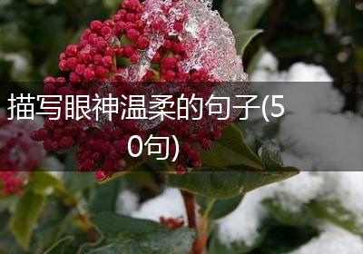 关于眼睛的情话：借你的眼睛，看遍人间烟火