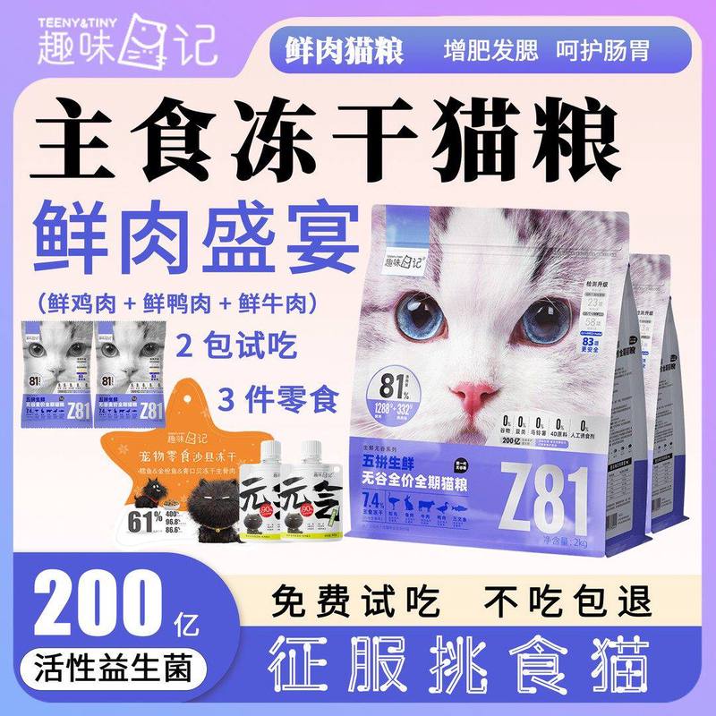 被猫偷吃猫粮的早晨