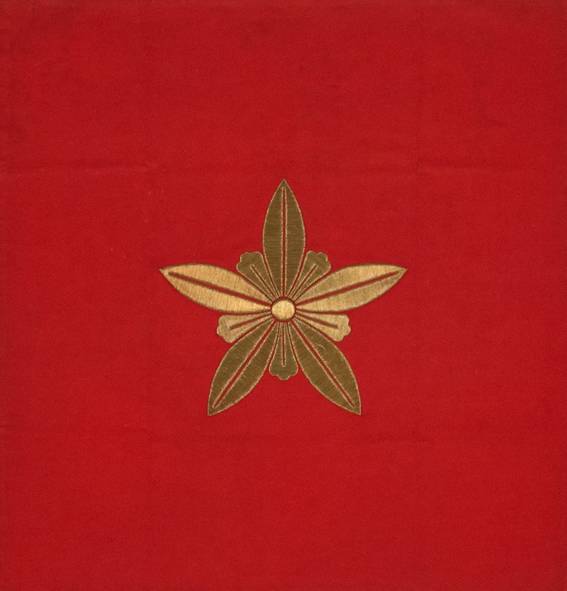 今天升旗了，我成了主角