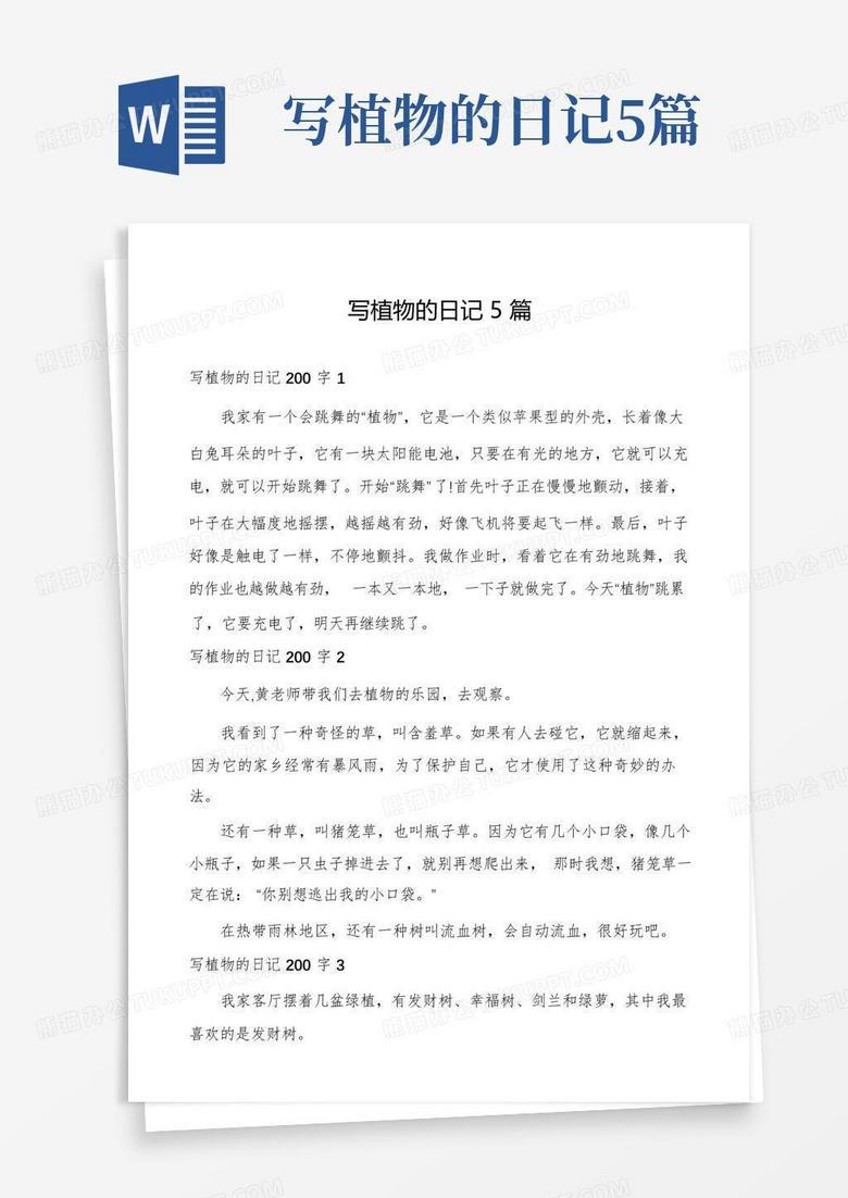 阳光下的草莓甜了心