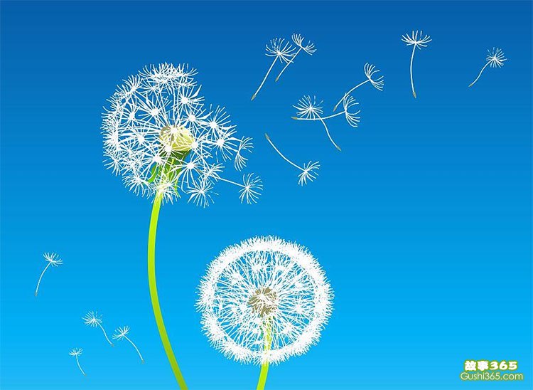 故事风：穿越时光的旋律