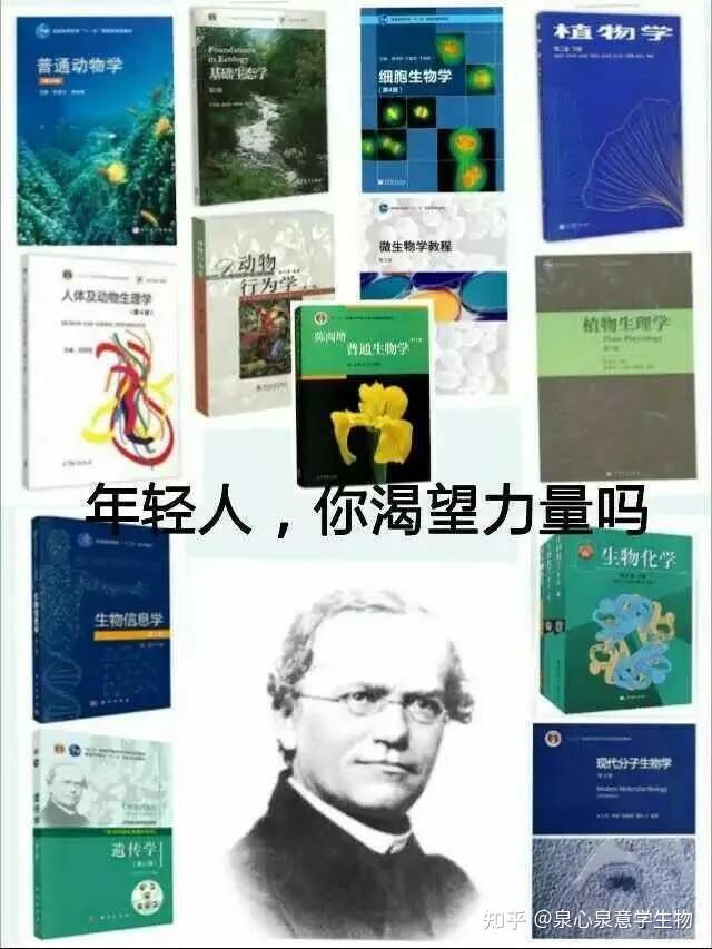 在分子的舞蹈中遇见你，每一刻都是生命的赞歌！