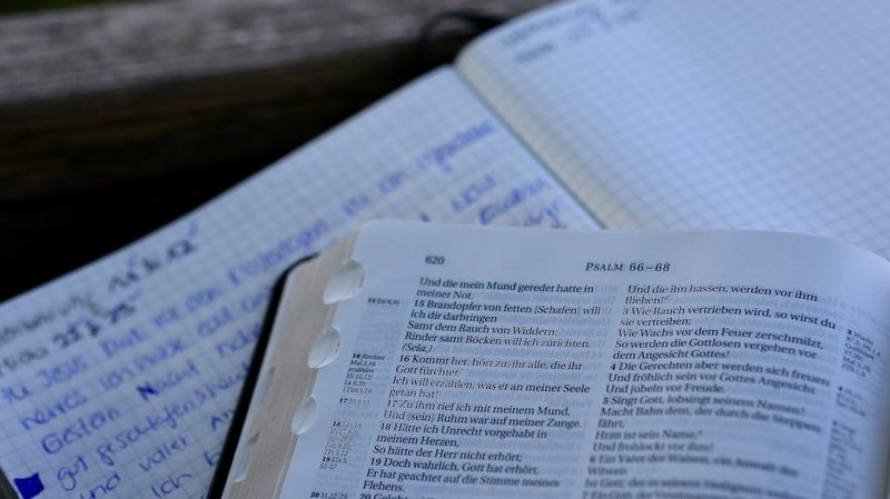 办公室的小世界 办公室的小世界